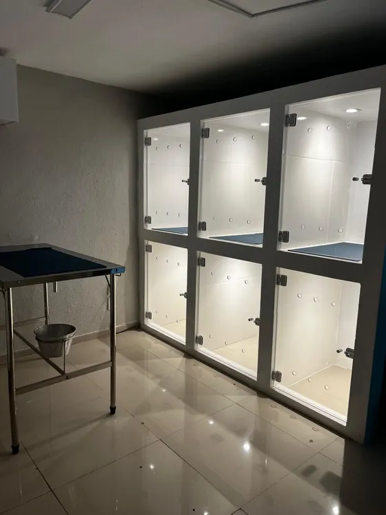 Internação — Exclusiva para gatos.